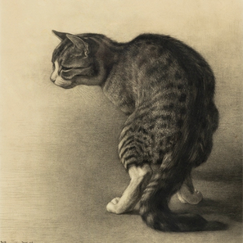 Classic to Modern Art